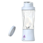Portable Mini Blender Smoothie Juicer